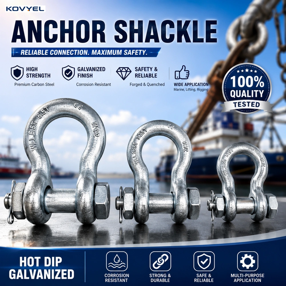 Screw Pin Anchor Shackle | High Strength Utility Fitting | Drop Forged Anchor Shackle